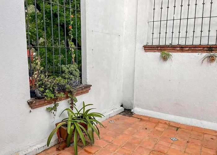 Beautiful And Spacious Colonial Home,