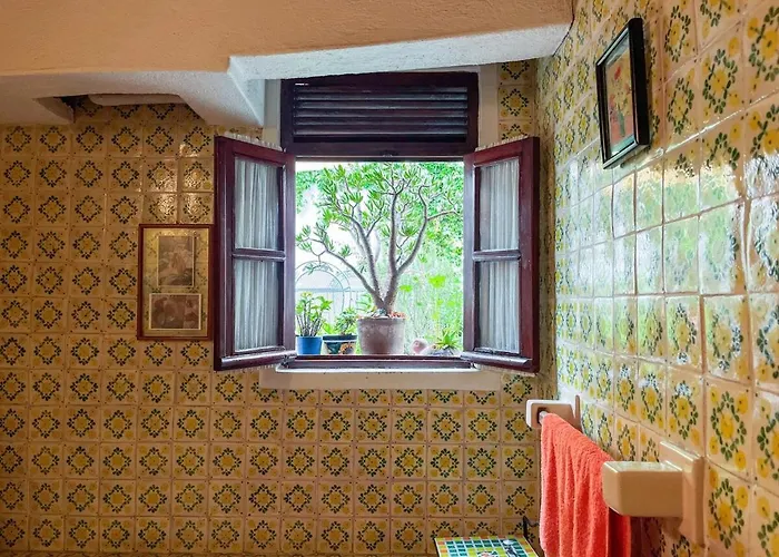 Beautiful And Spacious Colonial Home,