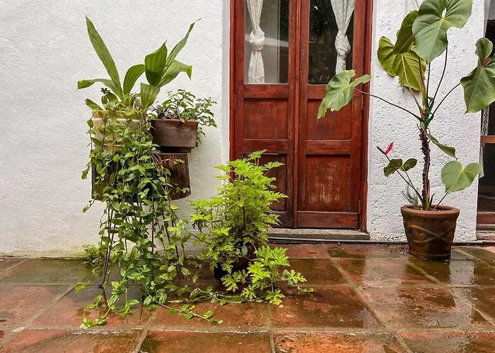 Beautiful And Spacious Colonial Home, Mexico City